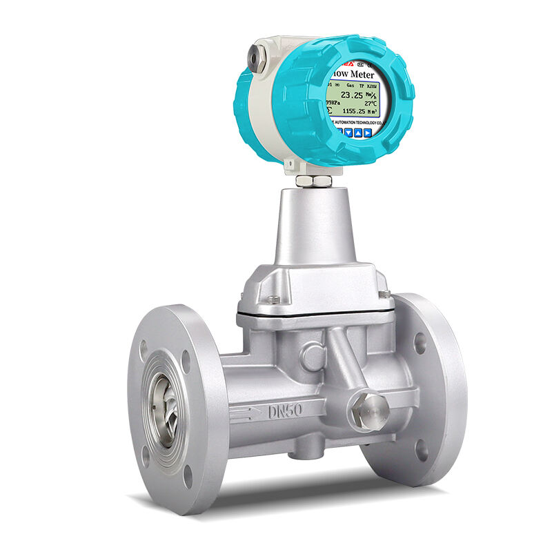 Precession Vortex Flow Meter